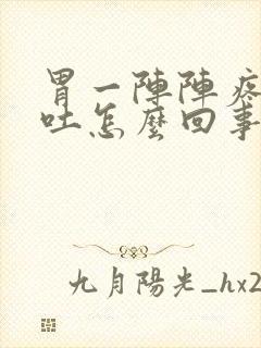 胃一阵阵疼恶心吐怎么回事呢封面