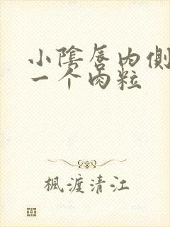 小阴唇内侧起了一个肉粒