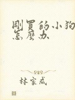 刚买的小狗拉稀怎么办