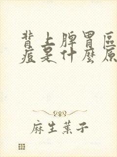 背上脾胃区长痘痘是什么原因