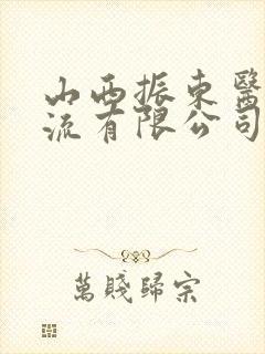 山西振东医药物流有限公司封面