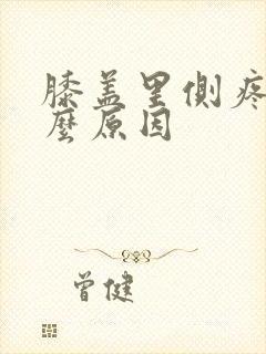 膝盖里侧疼痛什么原因