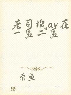 老司机av在线一区二区
