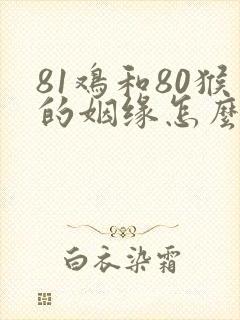 81鸡和80猴的姻缘怎么样