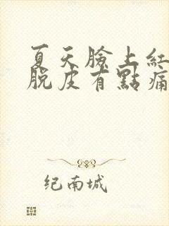 夏天脸上红红的脱皮有点痛封面