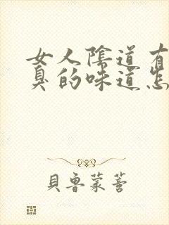 女人阴道有点臭臭的味道怎么回事