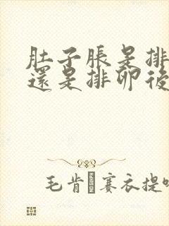 肚子胀是排卵前还是排卵后封面