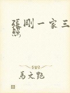 张刚一家三口近照封面