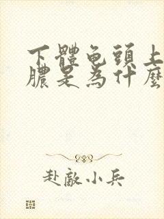 下体龟头上流黄脓是为什么