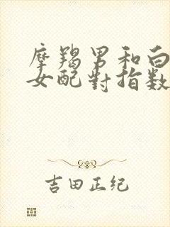 摩羯男和白羊座女配对指数