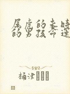 属虎的未时出生的男孩命运