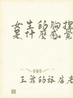 女生的胸捏起来是什么感觉