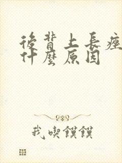 后背上长痤疮是什么原因