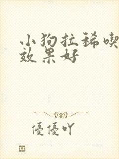 小狗拉稀吃啥药效果好