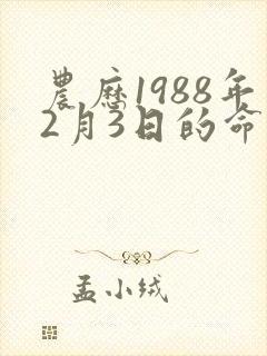农历1988年2月3日的命运