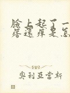 脸上起了一些疙瘩还痒是怎么回事呢封面