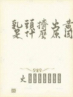 乳头挤出黄液体是什么原因