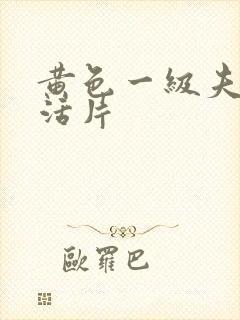 黄色一级夫妻生活片封面