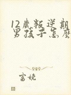 12岁叛逆期的男孩子怎么去引导