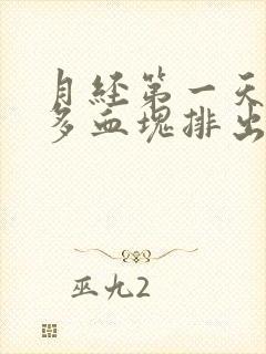 月经第一天有很多血块排出正常吗