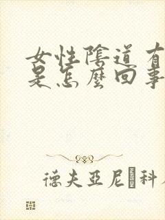 女性阴道有腥味是怎么回事