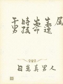 午时出生属龙的男孩命运封面