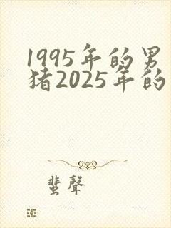 1995年的男猪2025年的运势封面