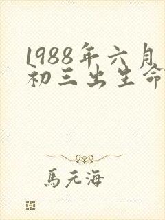 1988年六月初三出生命运
