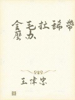 金毛拉稀带血怎么办