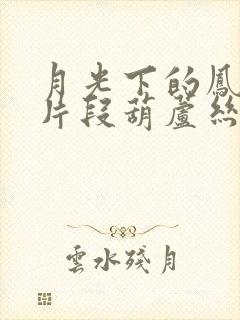 月光下的凤尾竹片段葫芦丝演奏