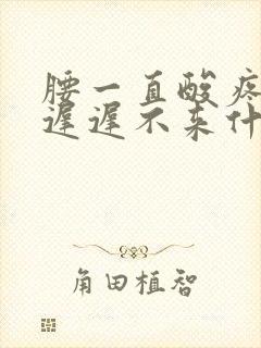 腰一直酸疼例假迟迟不来什么原因