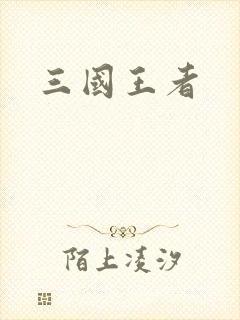 三国王者封面