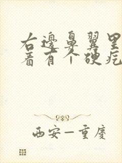 右边鼻翼里面摸着有个硬疙瘩封面