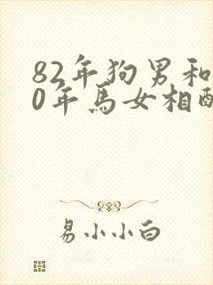 82年狗男和90年马女相配婚姻如何