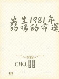 出生1981年的鸡的命运