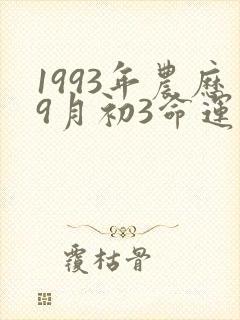 1993年农历9月初3命运如何