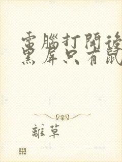 电脑打开后一直黑屏只有鼠标