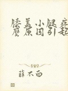 膝盖小腿疼痛什么原因引起的封面