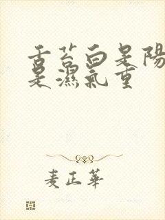 舌苔白是阳虚还是湿气重