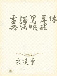 电脑黑屏休眠后无法唤醒