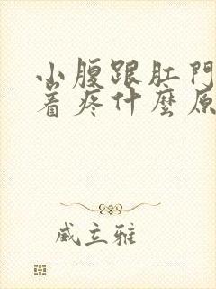 小腹跟肛门牵拉着疼什么原因女性