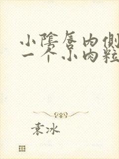 小阴唇内侧长了一个小肉粒