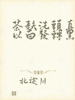 茶麸洗头真的可以白发转黑发吗