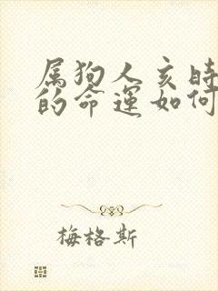 属狗人亥时出生的命运如何呢