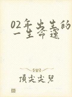 02年出生的马一生命运