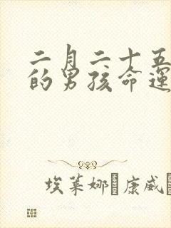 二月二十五出生的男孩命运怎么样