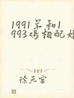 1991羊和1993鸡相配婚姻如何