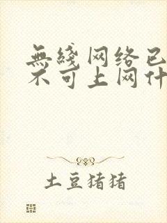 无线网络已连接不可上网什么原因封面