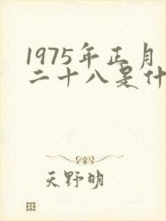 1975年正月二十八是什么命