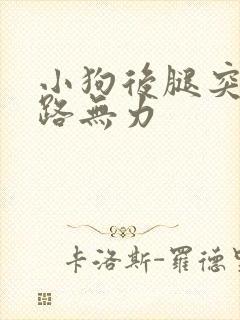 小狗后腿突然走路无力